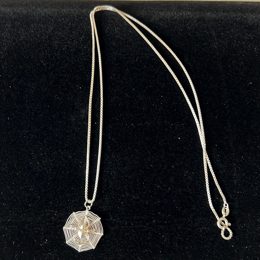 Sterling Silver Spider And Web